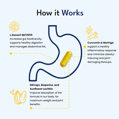 Provitalize | Best Natural Menopause Probiotic