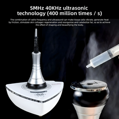 Vetverbrander Ultrasone 40K